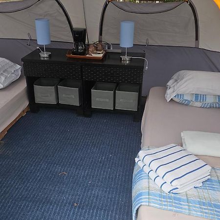 Sweet Dreams Bed & Breakfast San Carlos Dış mekan fotoğraf
